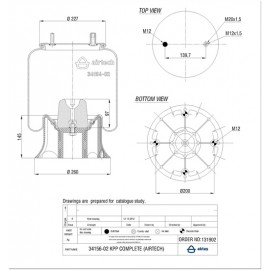 131902 / 34156-02 CPP Pistonlu