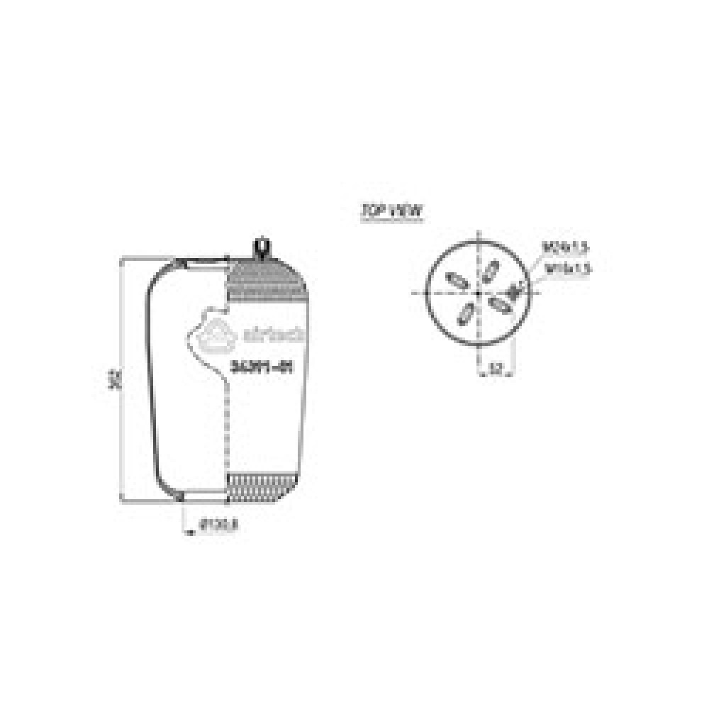 120092 / 34391-01 P  Pistonsuz