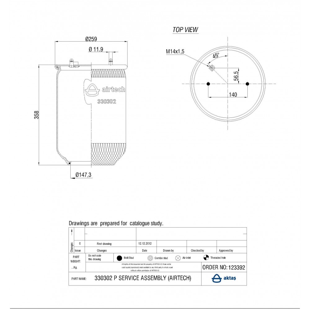 123392 / 330302 P  Service Assembly