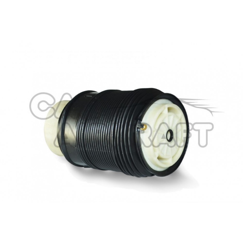 Mercedes-Benz CLS Class W218 Rear Left Suspension Air Spring