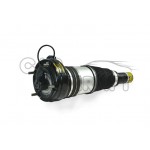 AUDI A8 D4 ÖN HAVA SÜSPANSİYON KUTUSU