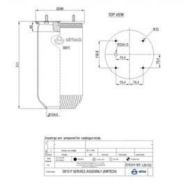 120122 / 3813 P  Service Assembly