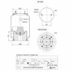 136152 / 34159-16 CPP Pistonlu