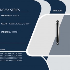 MERCEDES NG/SK SERIES 123025