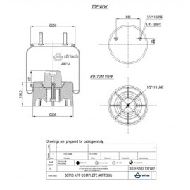 137082 / 38713 CPP Pistonlu