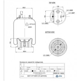 136932 / 39371 CPP Pistonlu