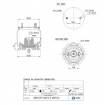 136952 / 39039 CPP Pistonlu