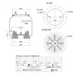 131412 / 38802 CPP Pistonlu