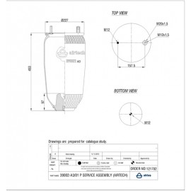 121702 / 39002-A3/01 P Service Assembly