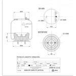 131132 / 39296 CPP Pistonlu