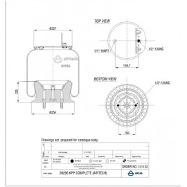 131132 / 39296 CPP Pistonlu