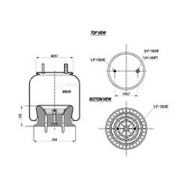 137112 / 39219 CPP Pistonlu