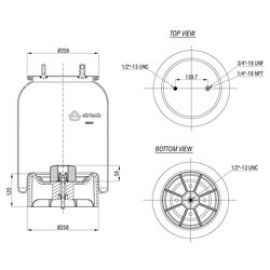 138022 / 38539 CPP Pistonlu