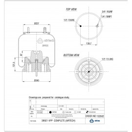 132502 / 39921 CPP Pistonlu