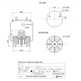137202 / 38708 CPP Pistonlu