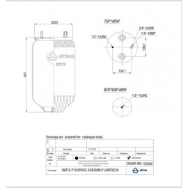 122382 / 39213 P  Service Assembly