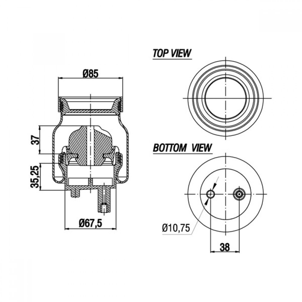 17000331 / A 3001506 Cabin Air Springs