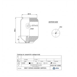 120962 / 3909 T  Service Assembly