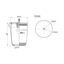 120212 / 3836-1 P  Pistonsuz