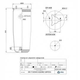 120562 / 3951 P  Service Assembly