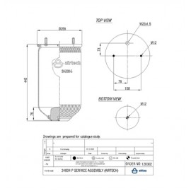 120302 / 34004 P  Service Assembly