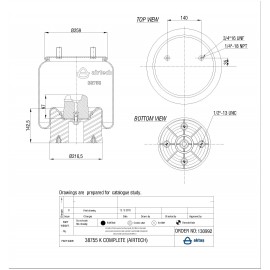 130992 / 38755 CPP Pistonlu