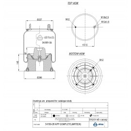 136162 / 34159-26 CPP Pistonlu