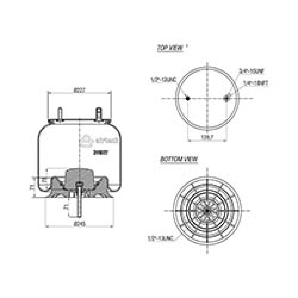131492 / 39807 CPP Pistonlu