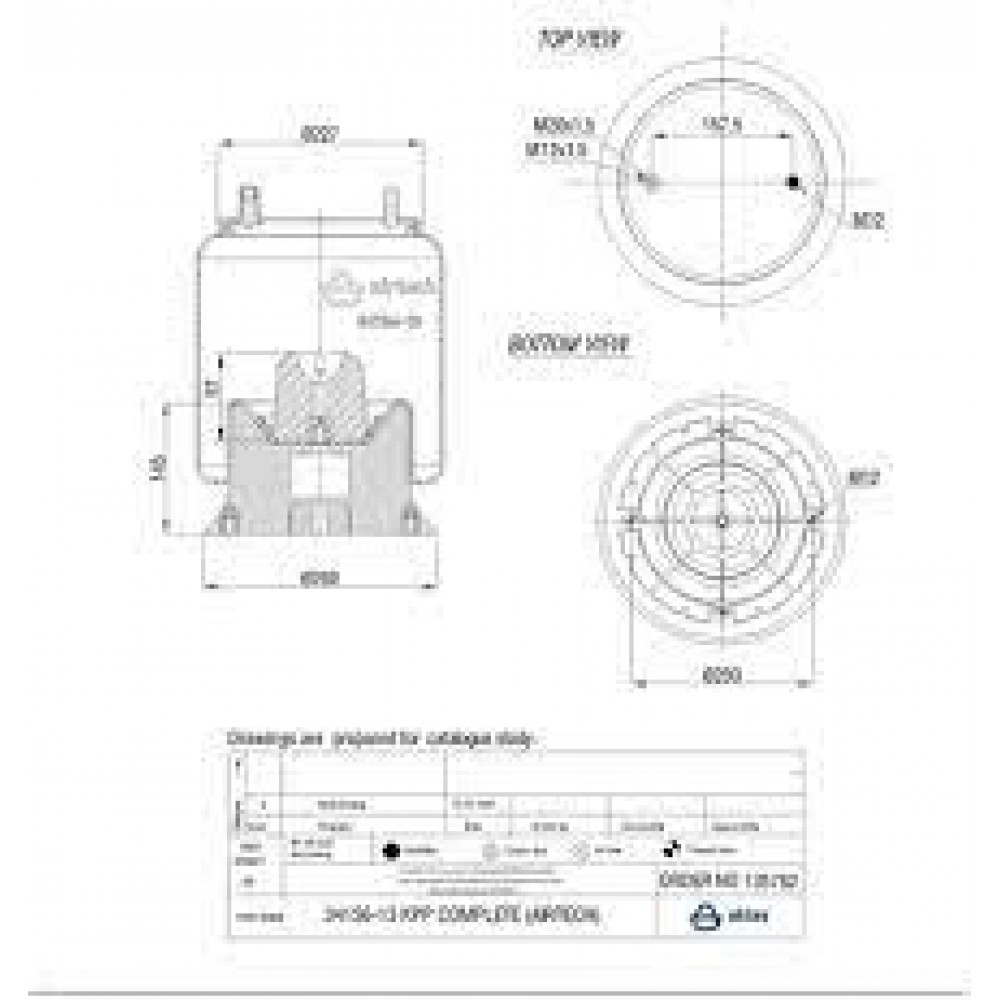 135762 / 34156-13 CPP Pistonlu