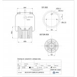 135872 / 36318 CPP Pistonlu