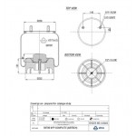 137072 / 38709 CPP Pistonlu