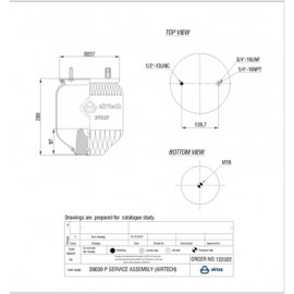 122322 / 39039 P  Service Assembly