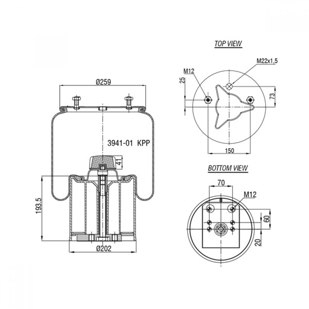 132221 / 3941-01 Complete Air Springs