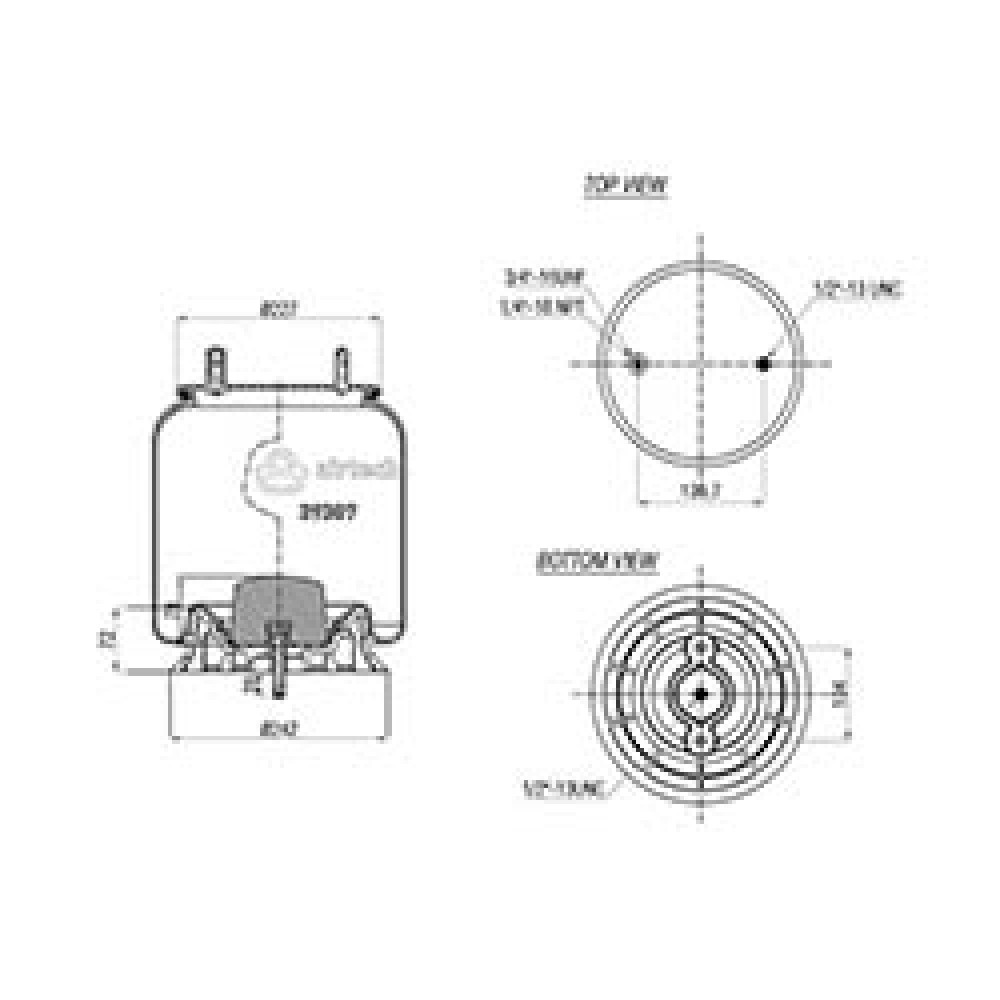 132052 / 39307 CPP Pistonlu