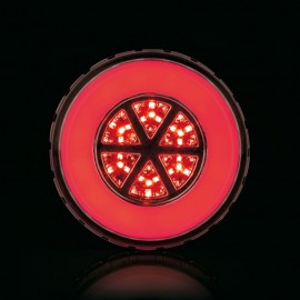 BAD 503 / 34 Ledli Neon Stop Lamba