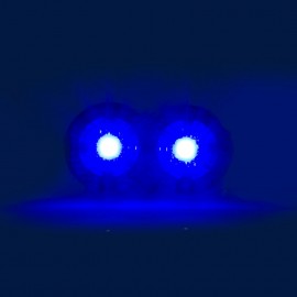 BAD 219| 6 LED’li Universal Side Marker Lamba